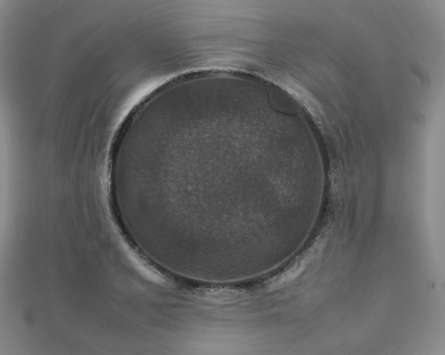 X0000112471077200908171153