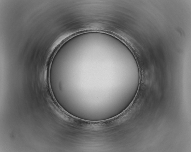 X0000112471078200908171153