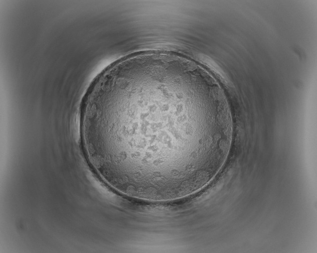 X0000112471079200908171153