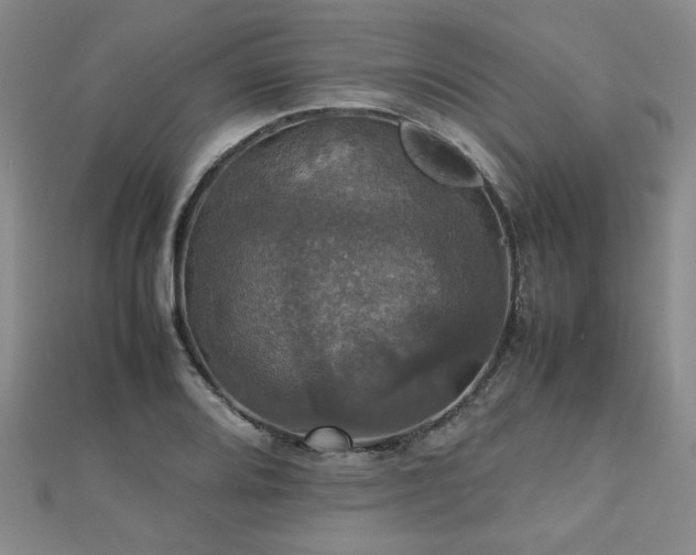 X0000112471080200908171153