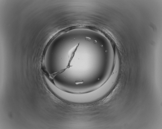 X0000112471081200908171153