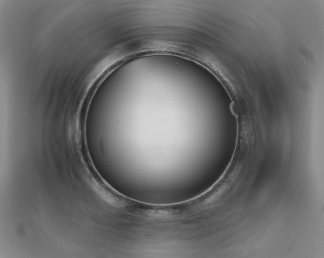 X0000112471082200908171153