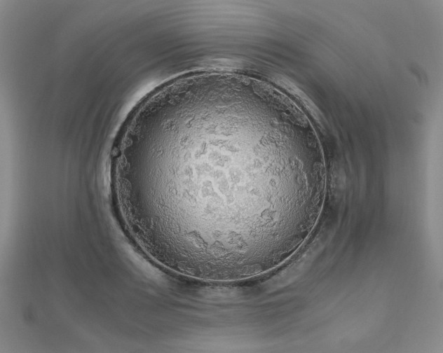 X0000112471083200908171153