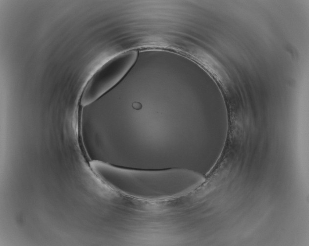 X0000112471084200908171153