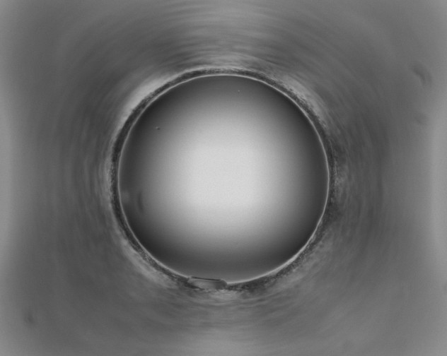 X0000112471085200908171153