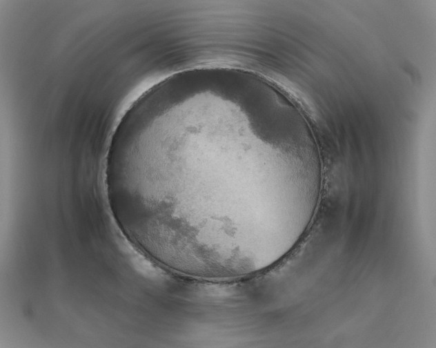 X0000112471086200908171153