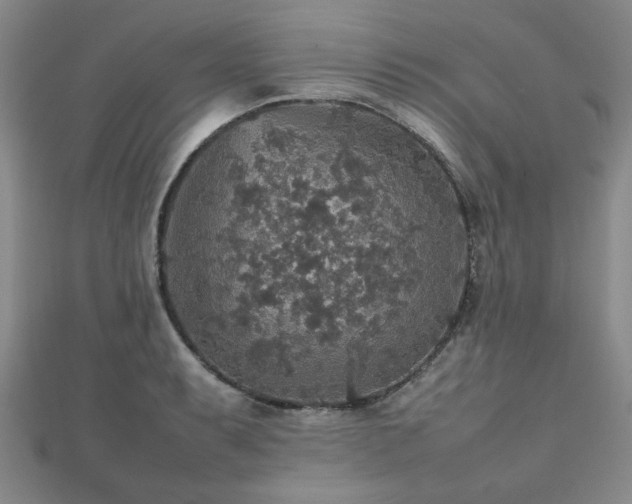 X0000112471087200908171153