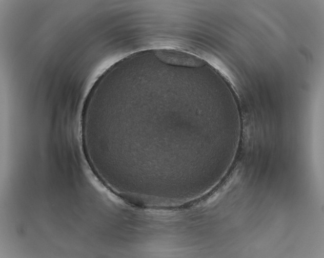 X0000112471088200908171153