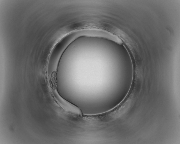 X0000112471089200908171153