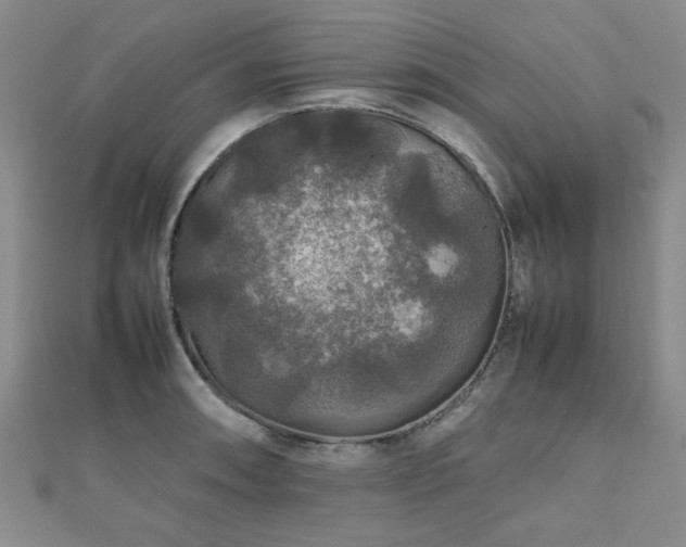 X0000112471090200908171153