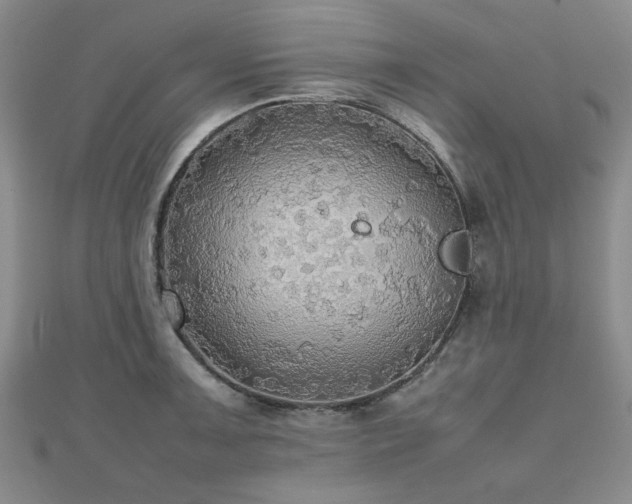 X0000112471091200908171153