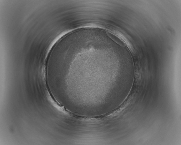 X0000112471092200908171153