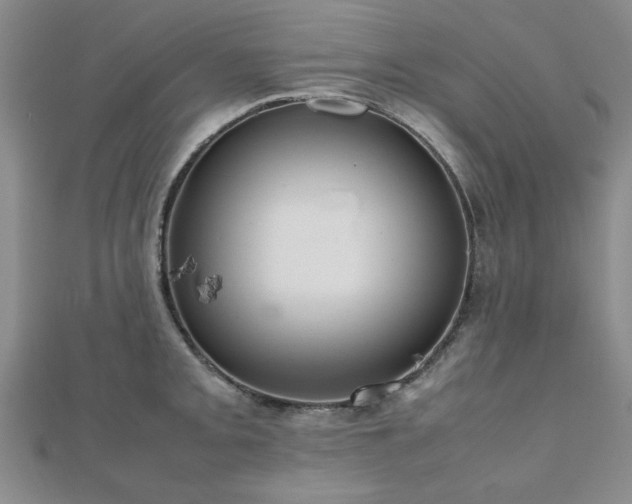 X0000112471093200908171153