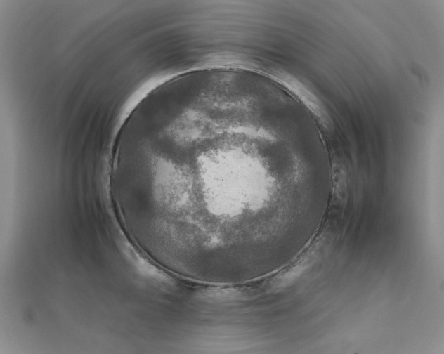 X0000112471094200908171153