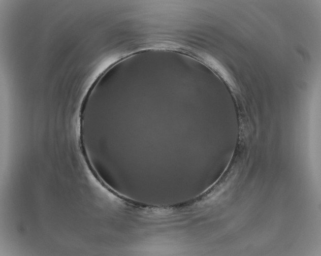 X0000112471095200908171153