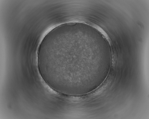 X0000112471096200908171153