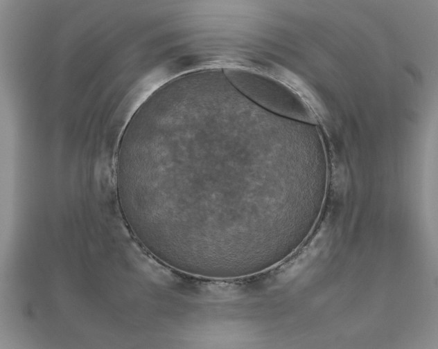 X0000112471097200908171153