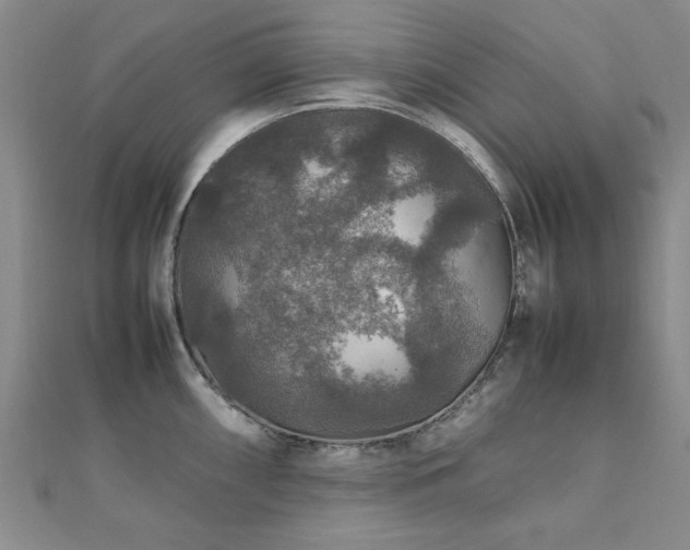 X0000112471098200908171153