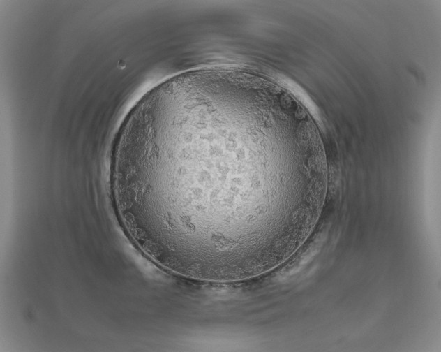 X0000112471099200908171153