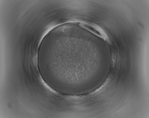 X0000112471100200908171153