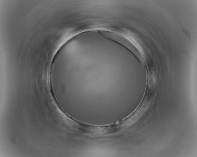 X0000112471101200908171153