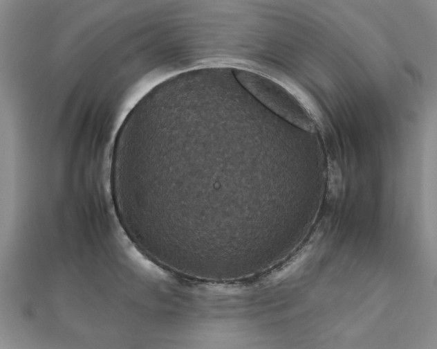 X0000112471102200908171153