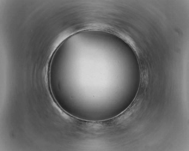 X0000112471103200908171153