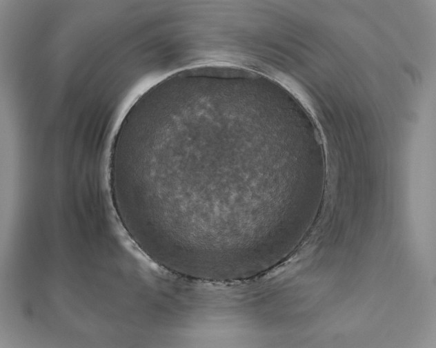 X0000112471104200908171153