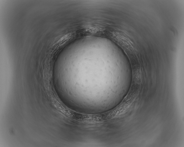 X0000112471105200908171152