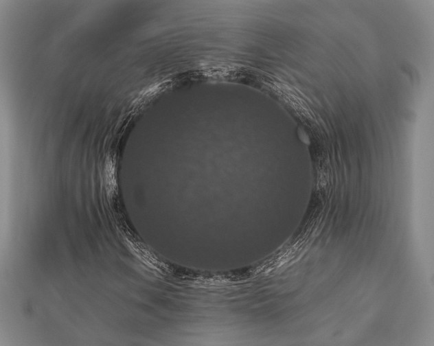 X0000112471106200908171152