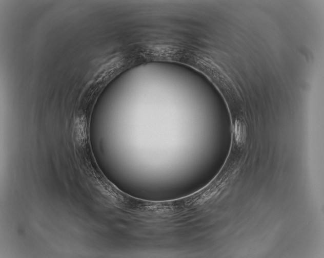 X0000112471107200908171152