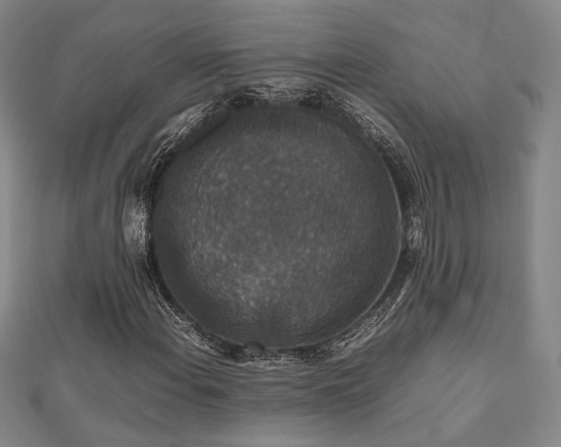 X0000112471108200908171152