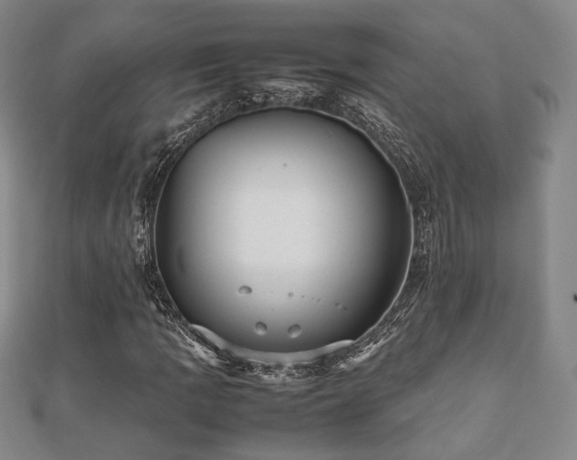 X0000112471109200908171152