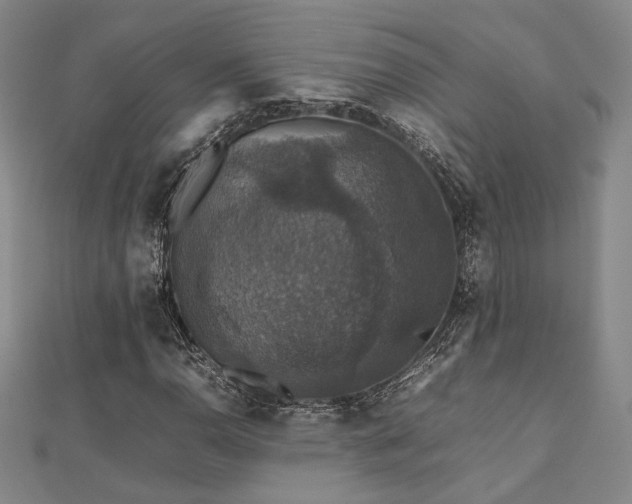 X0000112471110200908171152