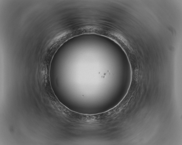 X0000112471111200908171152