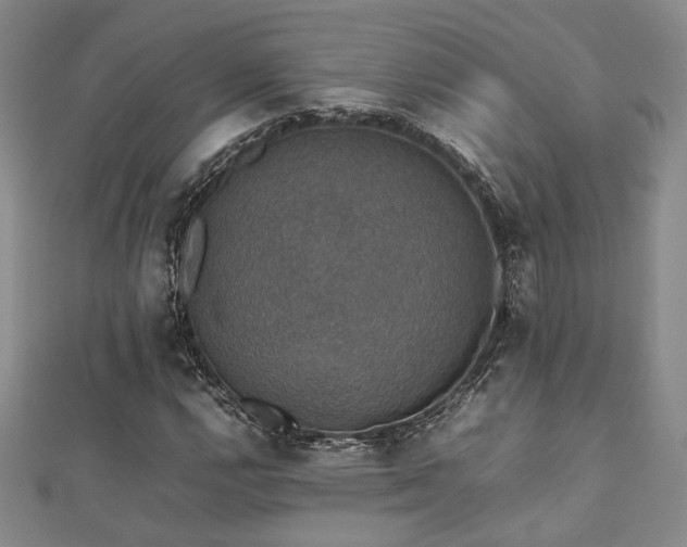 X0000112471112200908171152