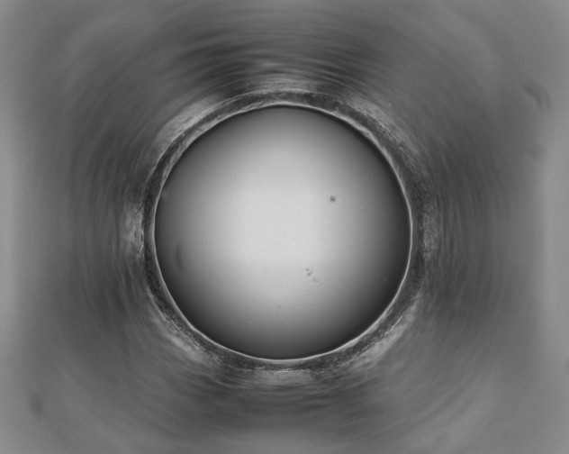 X0000112471113200908171152