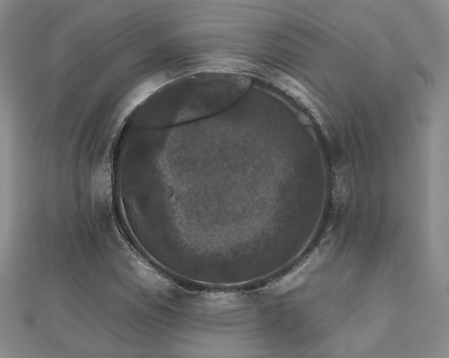 X0000112471114200908171152