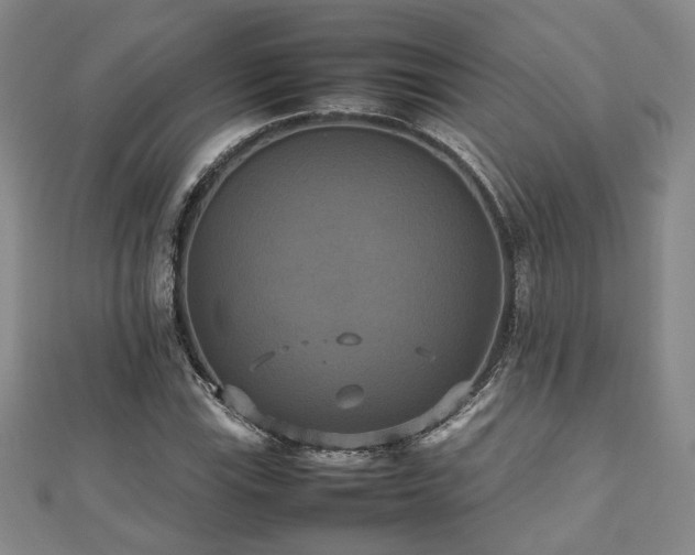 X0000112471115200908171152