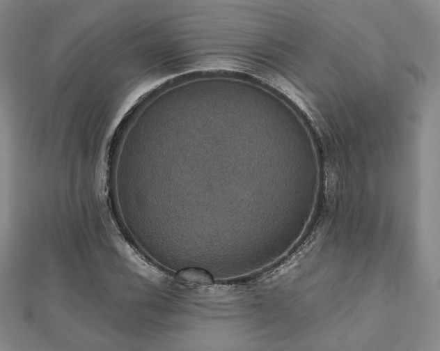 X0000112471116200908171152