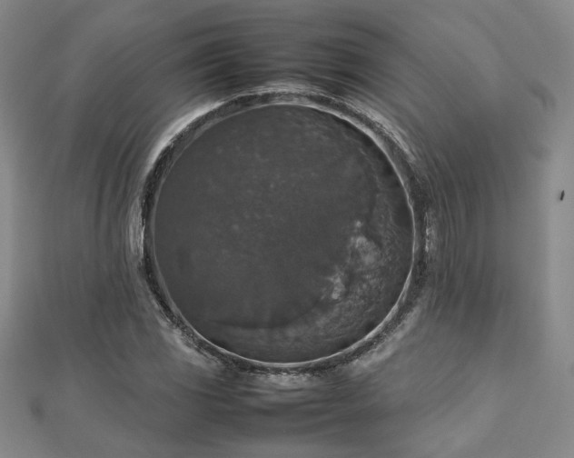 X0000112471117200908171152