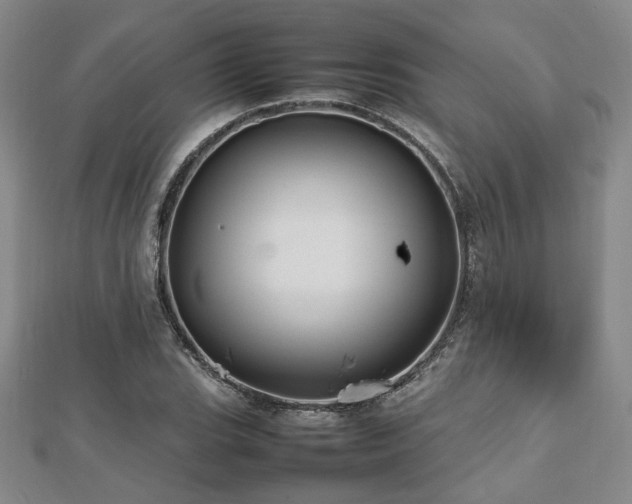 X0000112471119200908171152