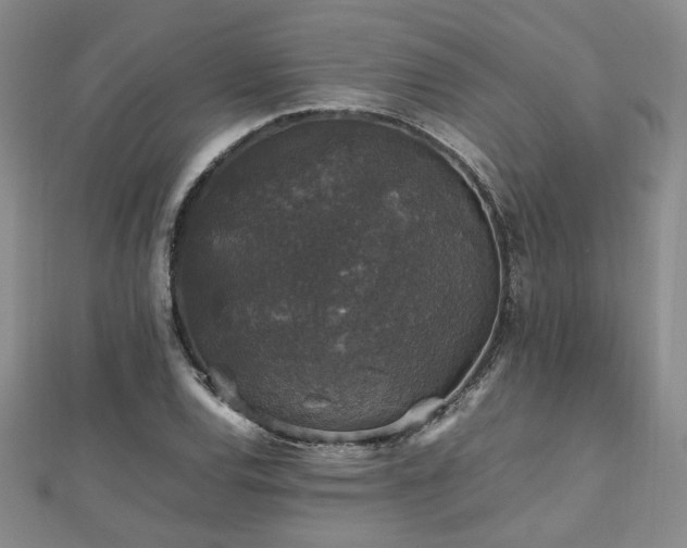 X0000112471120200908171152