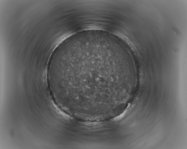 X0000112471121200908171152