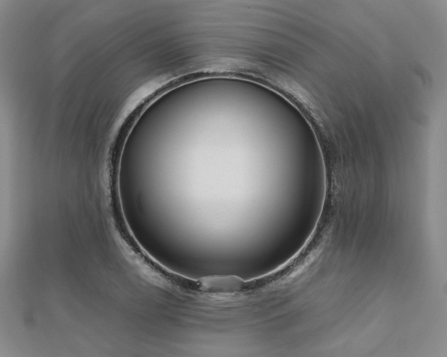 X0000112471122200908171152