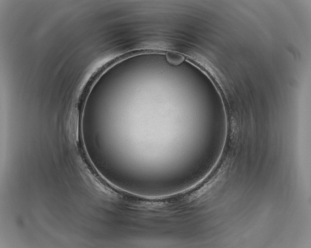 X0000112471123200908171153