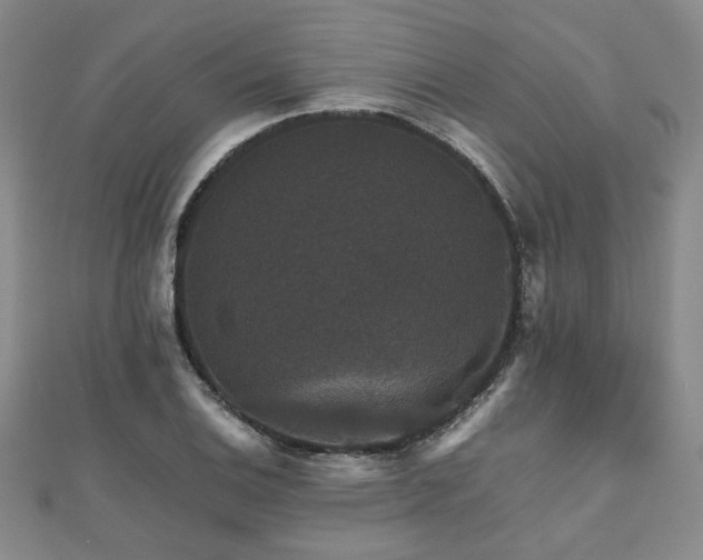 X0000112471124200908171153