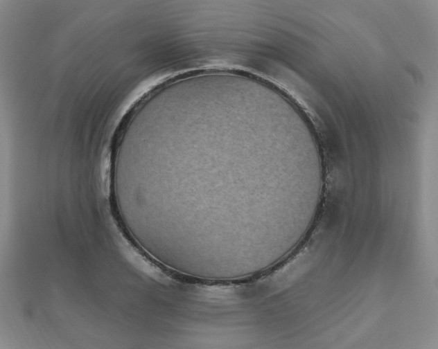 X0000112471126200908171153