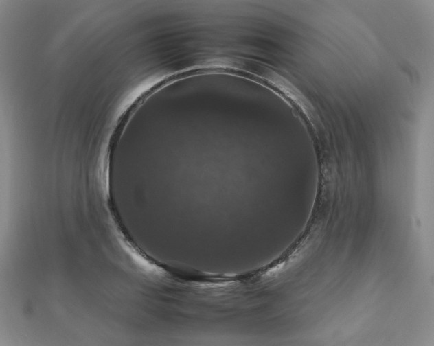 X0000112471127200908171153