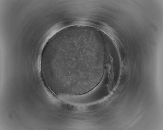 X0000112471128200908171153